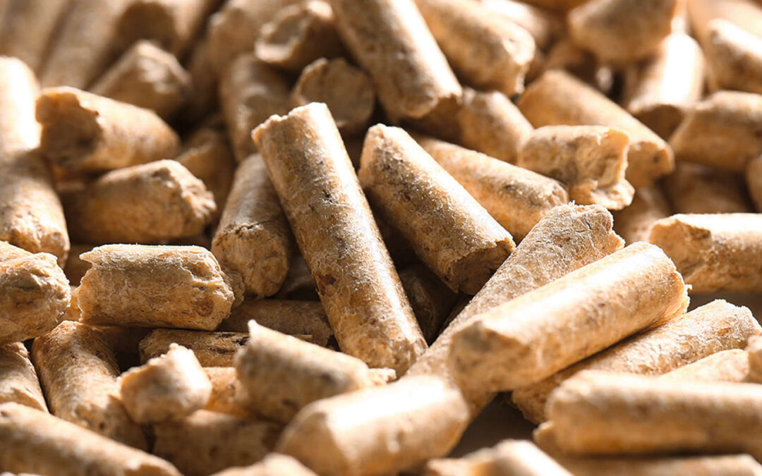 Wood Pellet Prices